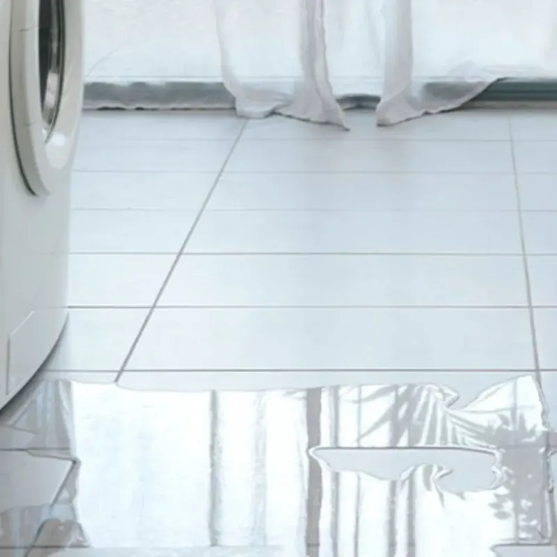Appliance Leak Cleanup in Nicholas County, WV