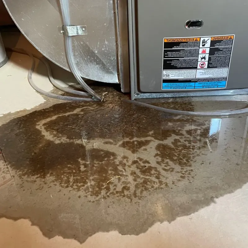Pipe Burst and Leak Restoration in Nicholas County, WV
