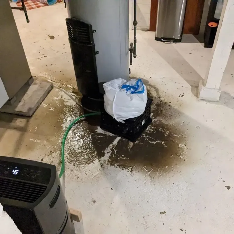 Sewage Backup Cleanup Service in Nicholas County, WV